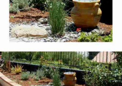 Arid Climate Rose Garden with Bubbler Fountain